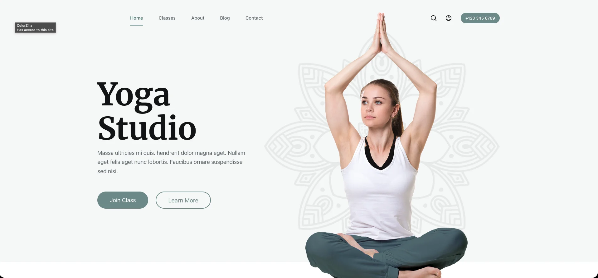yoga demo 1.webp